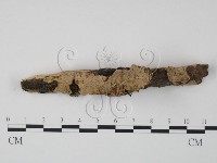 登錄號:F0008270藏品圖，第1張