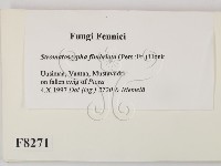 登錄號:F0008271藏品圖，第2張