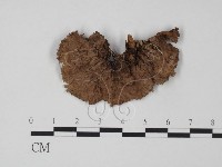 登錄號:F0008272藏品圖，第1張