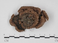登錄號:F0008273藏品圖，第3張