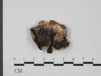 登錄號:F0008274藏品圖，第1張