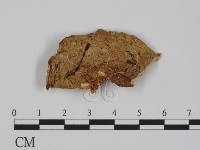 登錄號:F0008275藏品圖，第3張