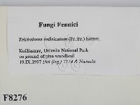 登錄號:F0008276藏品圖，第2張