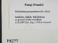 登錄號:F0008277藏品圖，第2張