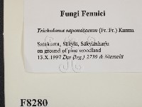 登錄號:F0008280藏品圖，第2張