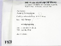 登錄號:F0008283藏品圖，第2張