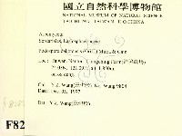 登錄號:F0008284藏品圖，第2張