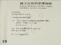 登錄號:F0008285藏品圖，第2張