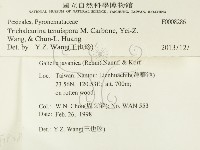 登錄號:F0008286藏品圖，第2張