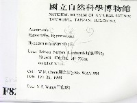 登錄號:F0008287藏品圖，第2張