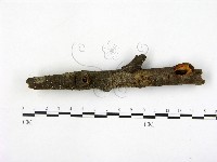 登錄號:F0008287藏品圖，第3張