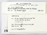 登錄號:F0008288藏品圖，第2張