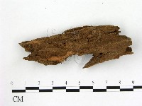 登錄號:F0008288藏品圖，第1張