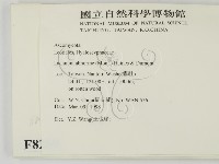 登錄號:F0008289藏品圖，第2張