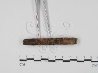 登錄號:F0008289藏品圖，第1張