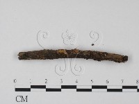 登錄號:F0008290藏品圖，第1張