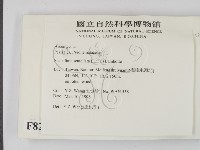 登錄號:F0008291藏品圖，第2張