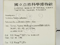 登錄號:F0008292藏品圖，第2張