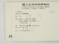 炭角菌屬藏品圖，第2張