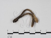 登錄號:F0008295藏品圖，第3張