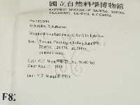 登錄號:F0008296藏品圖，第2張