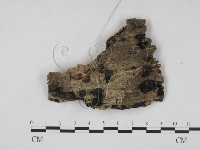 登錄號:F0008298藏品圖，第1張