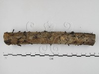 登錄號:F0008299藏品圖，第4張