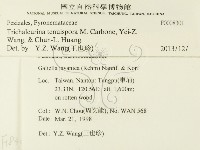 登錄號:F0008301藏品圖，第2張
