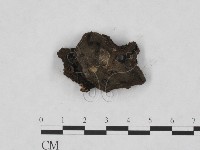 登錄號:F0008301藏品圖，第1張