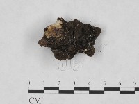 登錄號:F0008301藏品圖，第3張