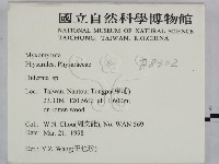 登錄號:F0008302藏品圖，第2張