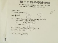 登錄號:F0008304藏品圖，第2張