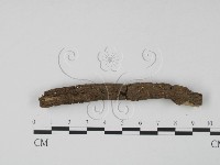 登錄號:F0008304藏品圖，第3張