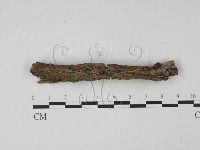 登錄號:F0008304藏品圖，第4張