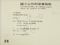 炭角菌屬藏品圖，第2張