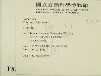 炭角菌屬藏品圖，第2張