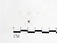 登錄號:F0008309藏品圖，第3張