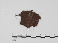 登錄號:F0008314藏品圖，第1張
