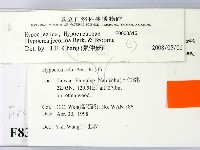 登錄號:F0008315藏品圖，第2張