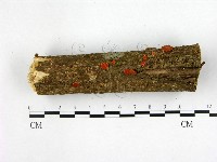 登錄號:F0008315藏品圖，第3張