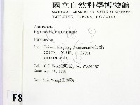 登錄號:F0008316藏品圖，第2張