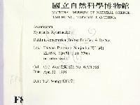 登錄號:F0008317藏品圖，第2張