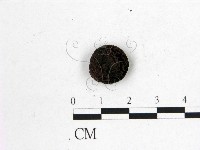 登錄號:F0008317藏品圖，第1張