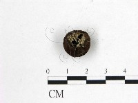 登錄號:F0008317藏品圖，第3張