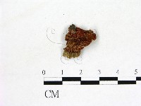 登錄號:F0008318藏品圖，第1張