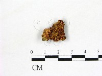 登錄號:F0008318藏品圖，第3張
