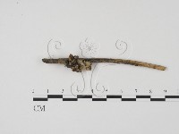 登錄號:F0008319藏品圖，第3張