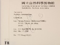 登錄號:F0008320藏品圖，第2張