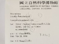 登錄號:F0008323藏品圖，第2張