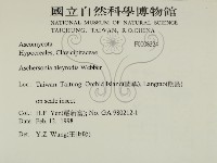 登錄號:F0008324藏品圖，第2張